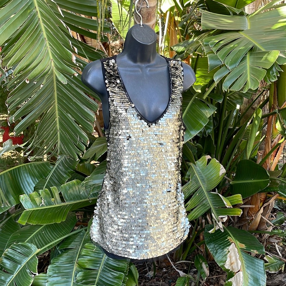 Cache silver sequin top